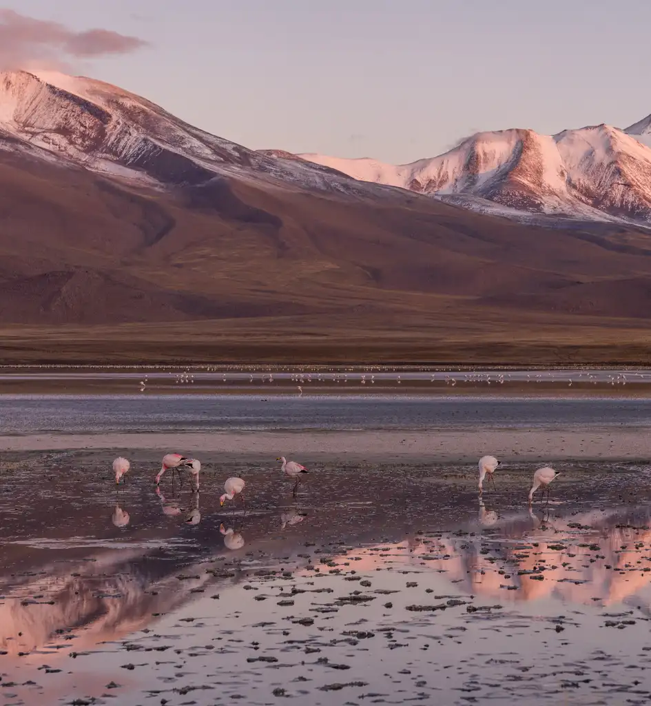 Explore the mountain of south america