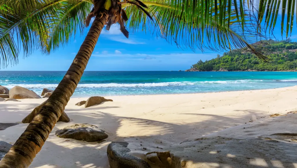 Relax in the shade of a plam tree on Maui