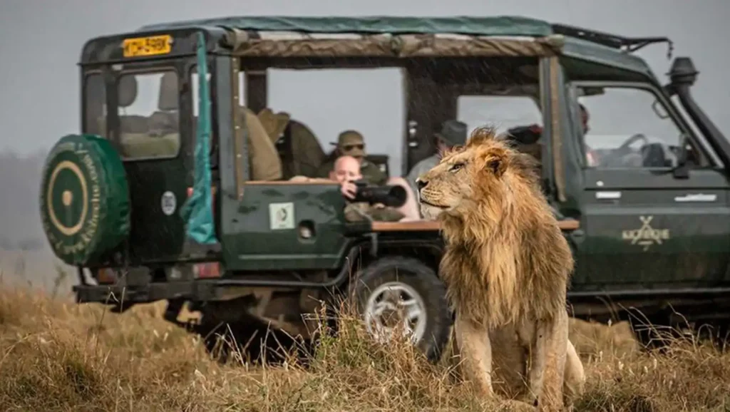 Incredible African safari