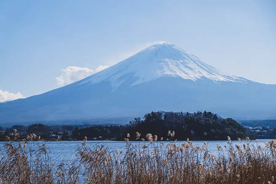 Mt Fuj
